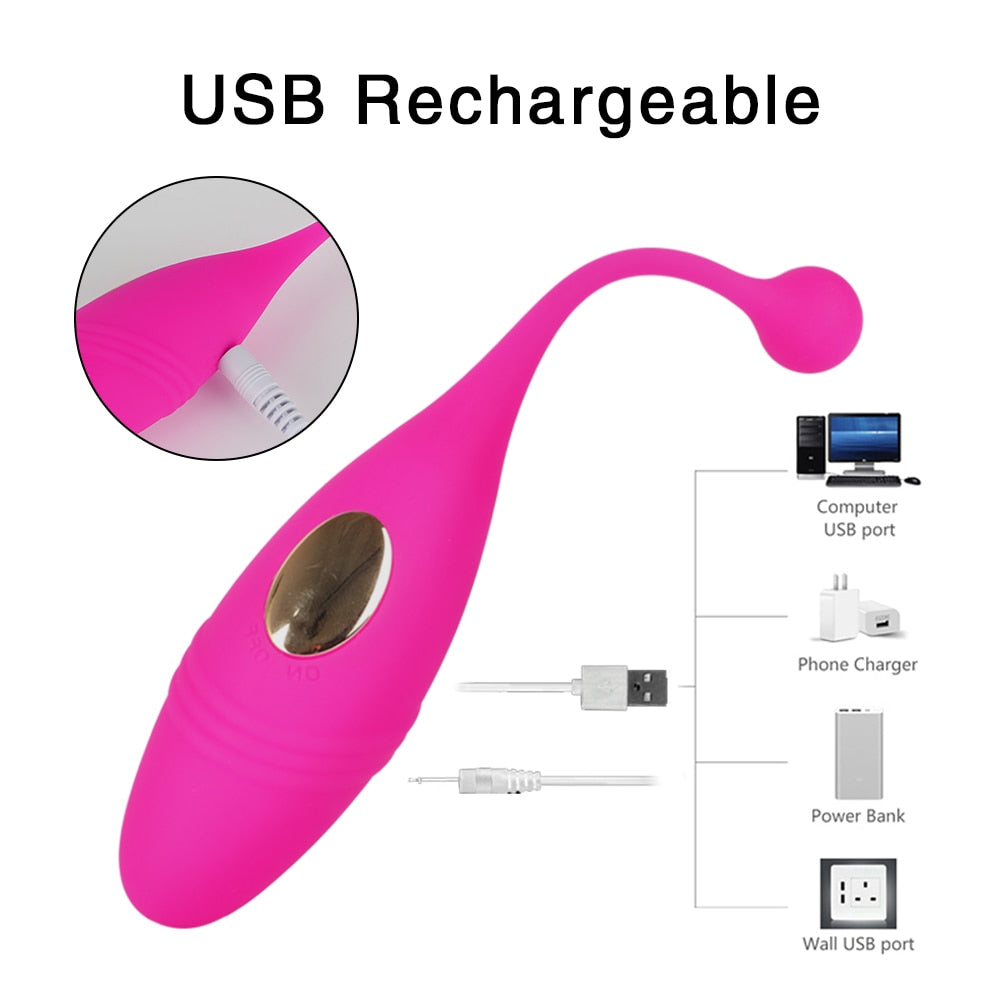 Wireless Remote Vibrator